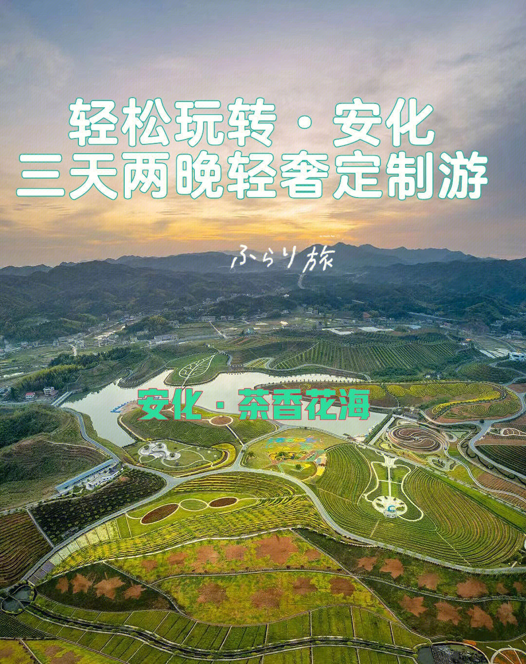 湖南安化茶乡花海门票图片