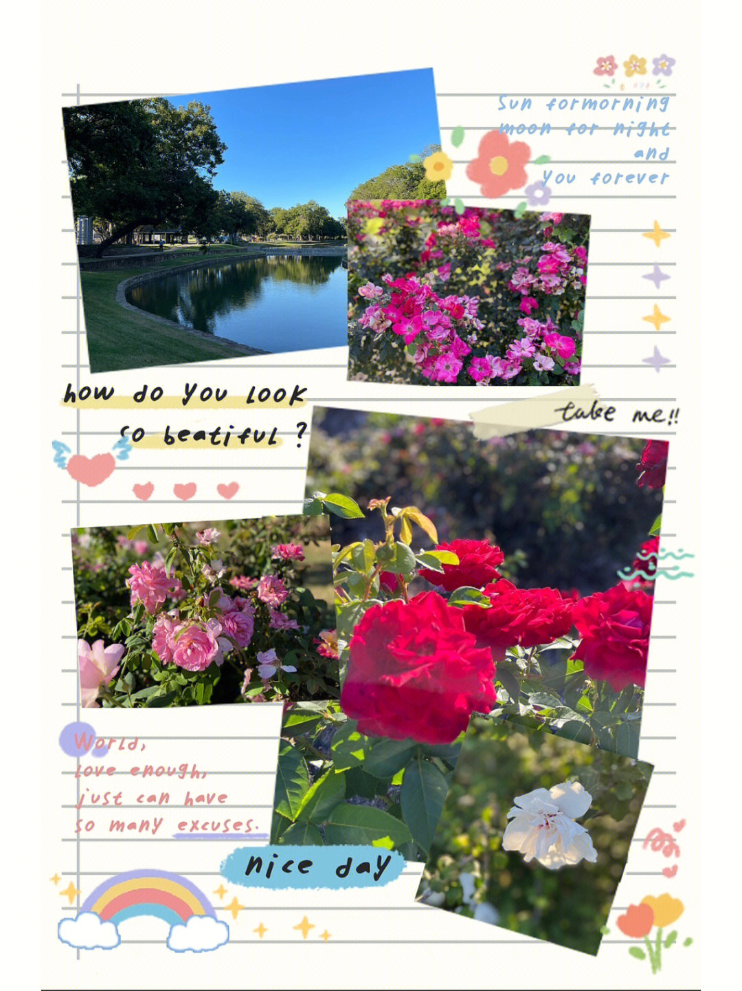 达拉斯玫瑰花语图片