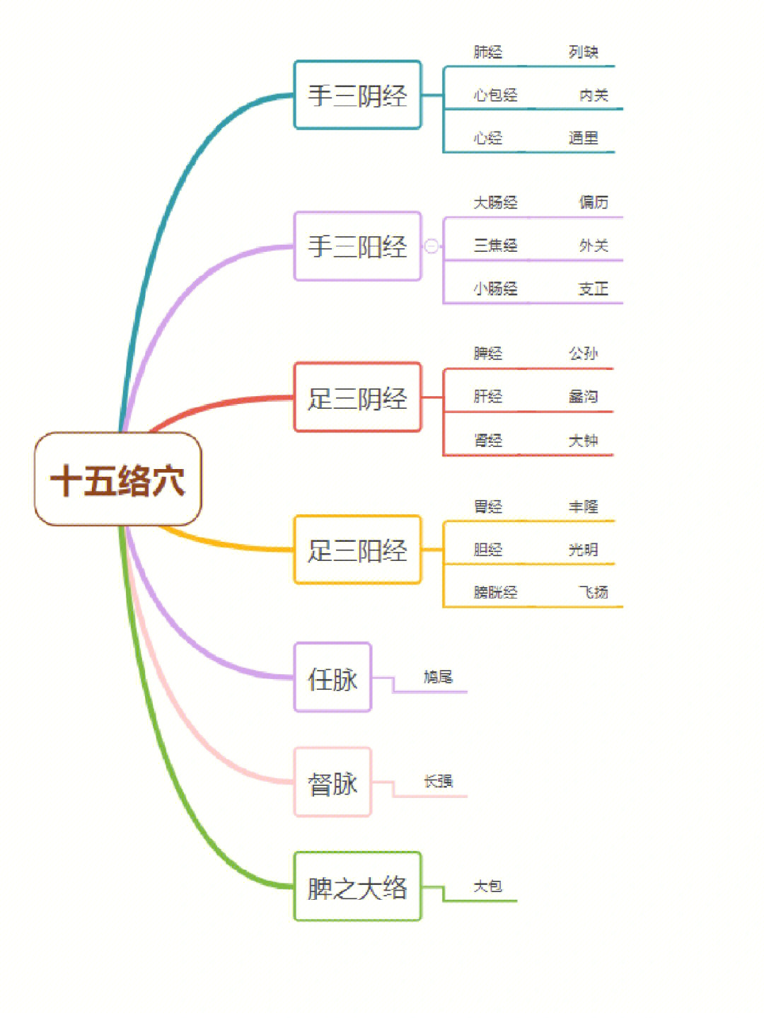 十二经脉上各有一个络穴,再加上任脉络穴,督脉络穴和脾之大络,一共有