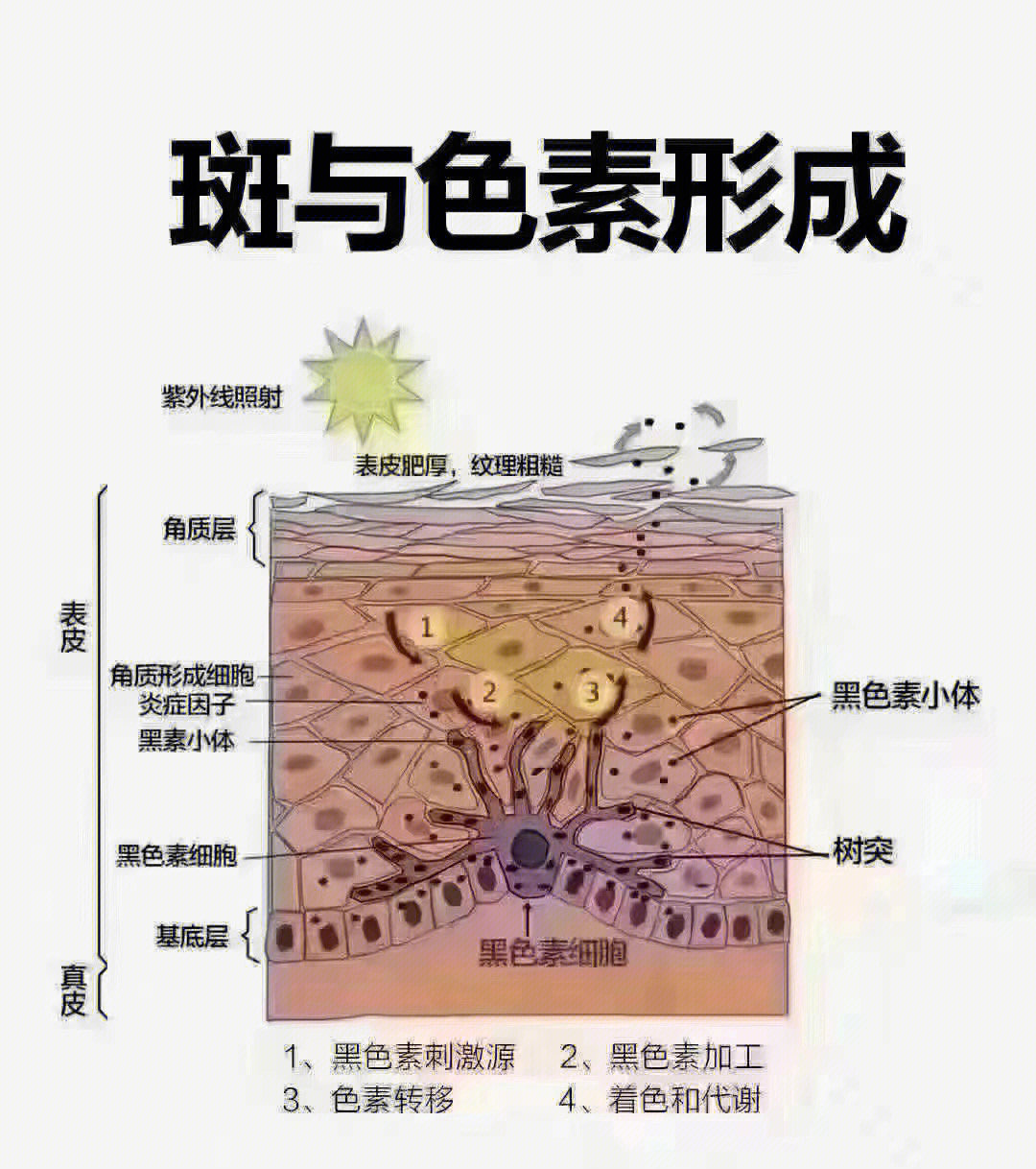 身上长斑怎么回事图片