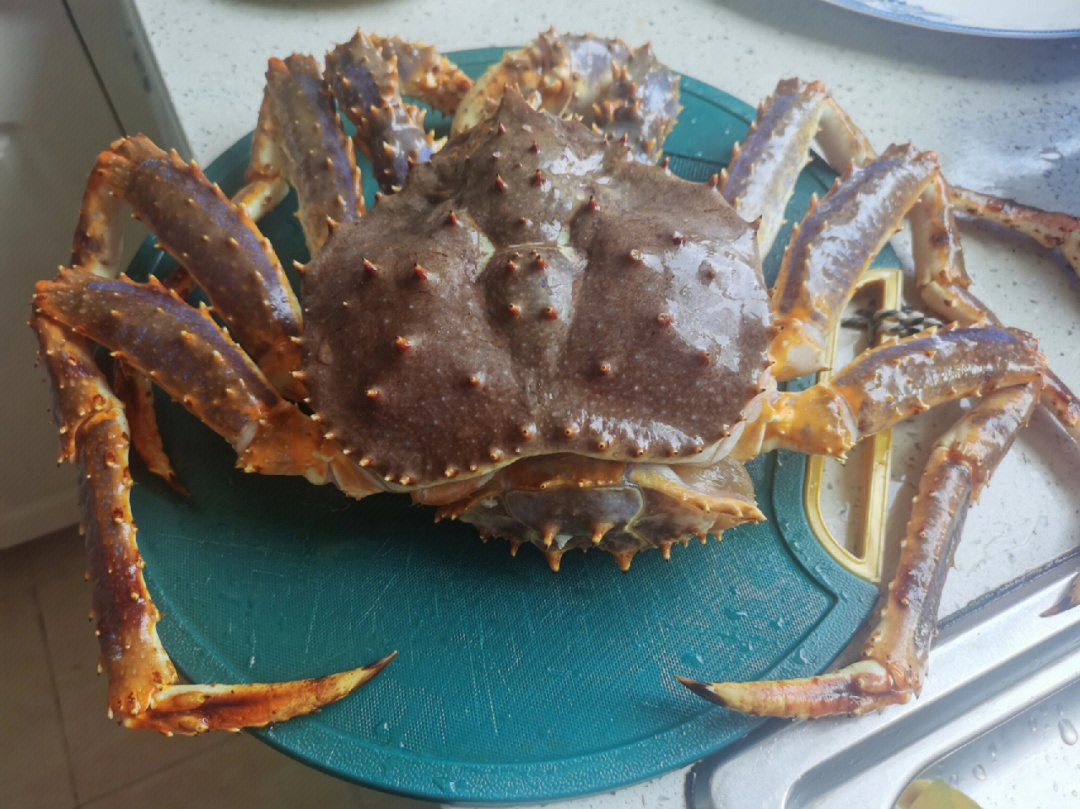 45斤的帝王蟹