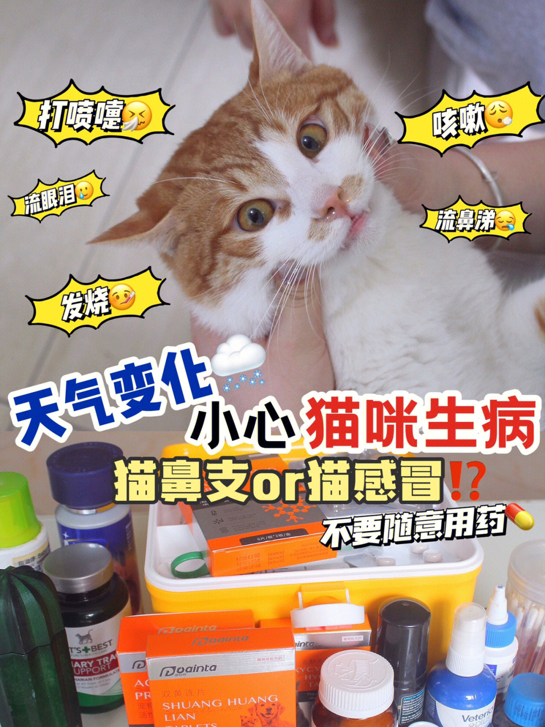 猫打喷嚏是怎么回事图片