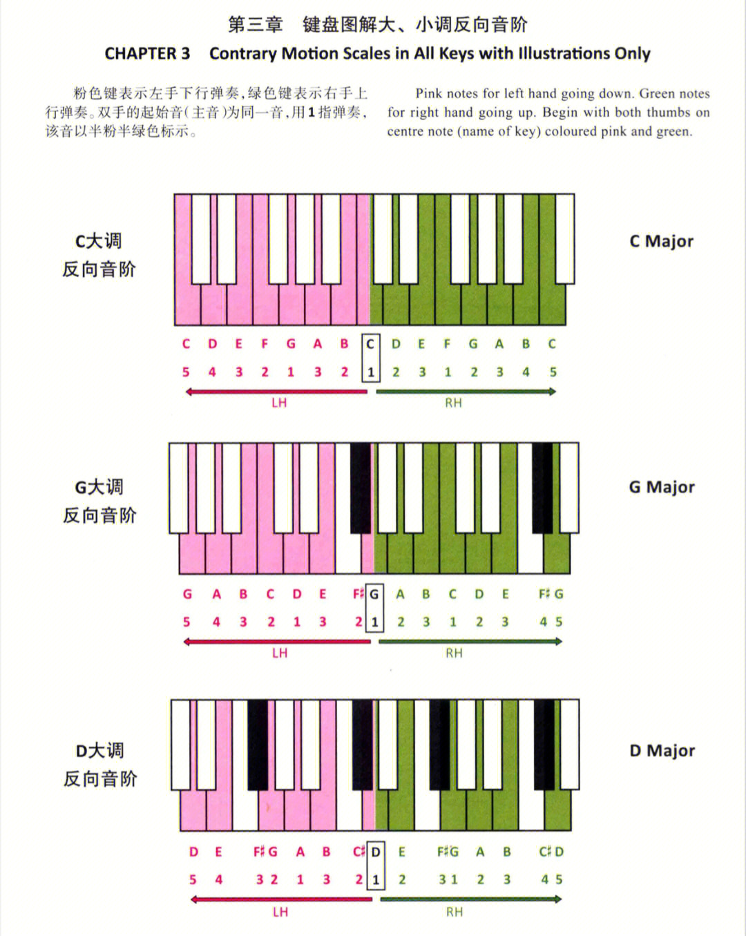 88钢琴键盘示意图音阶图片