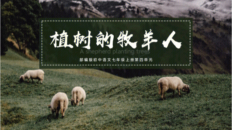 植树的牧羊人手抄报图片