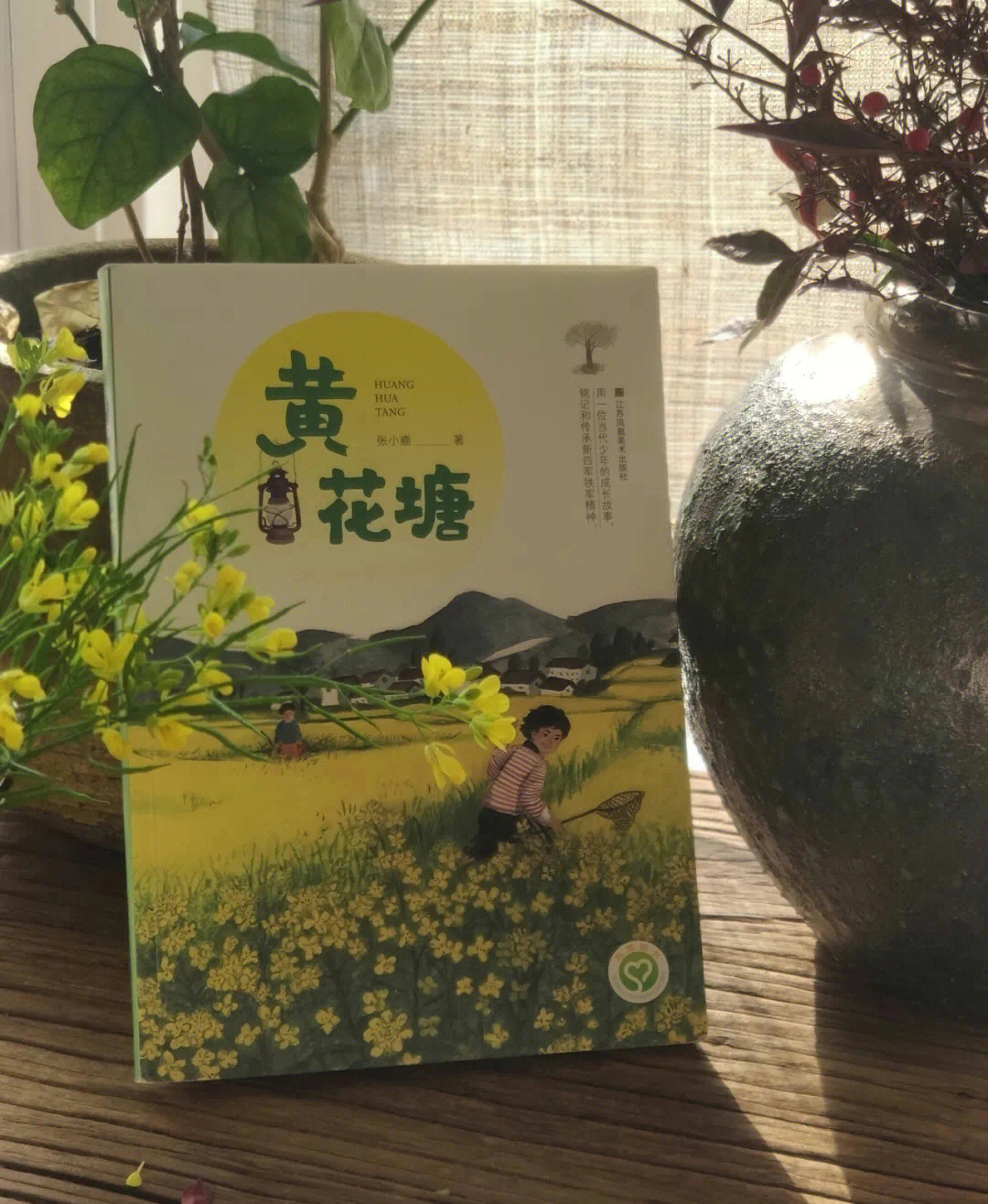 关于油菜花的绘本故事图片