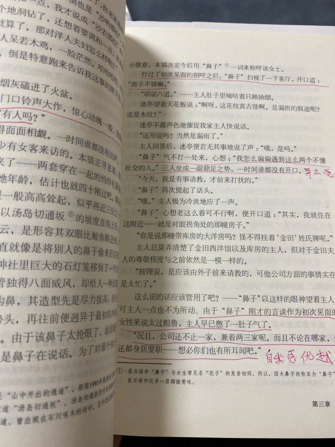 老舍猫课文原文图片