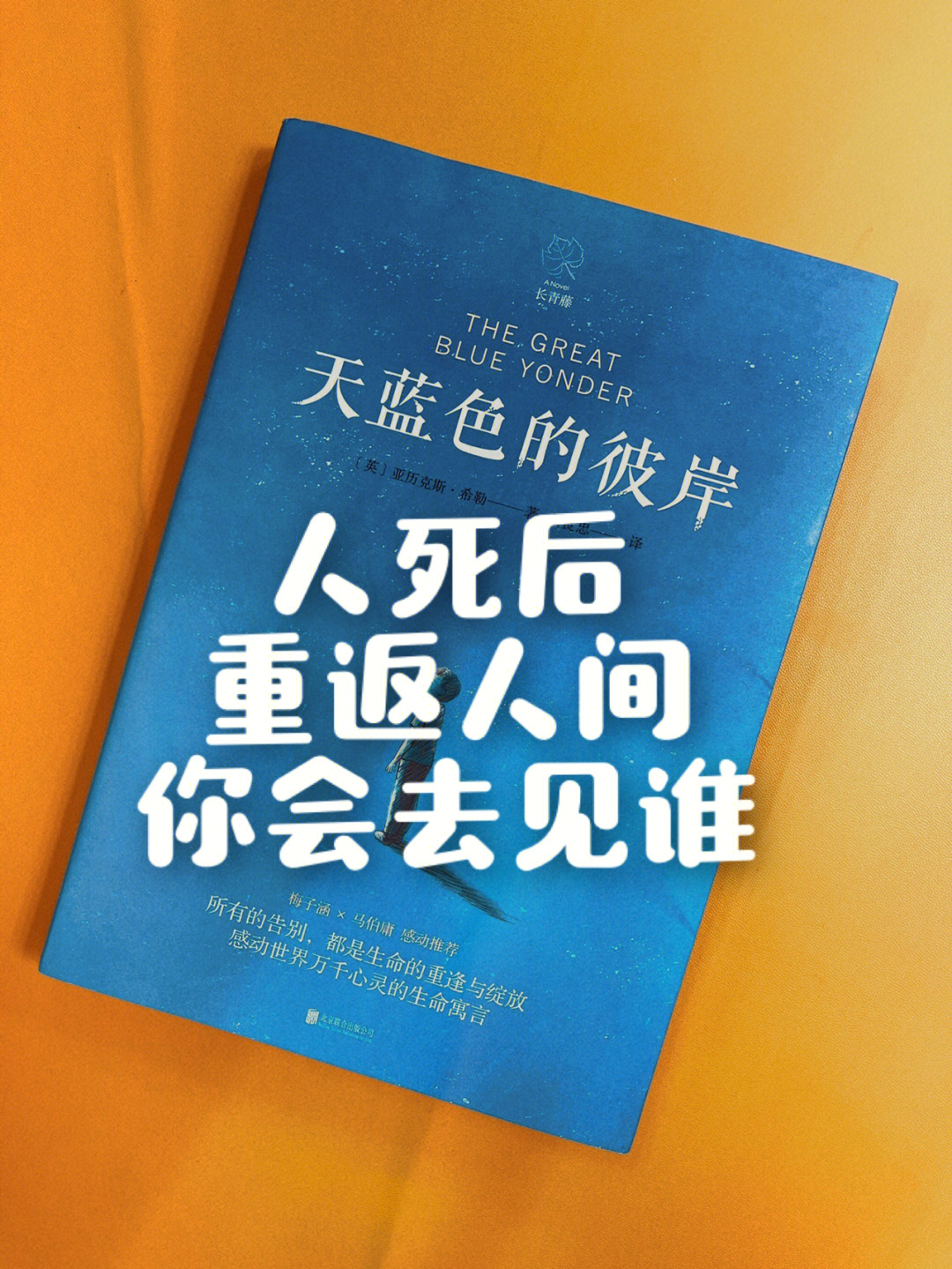 近期很多留言的朋友一直推荐这本书《天蓝色的彼岸》,带着很多好奇和