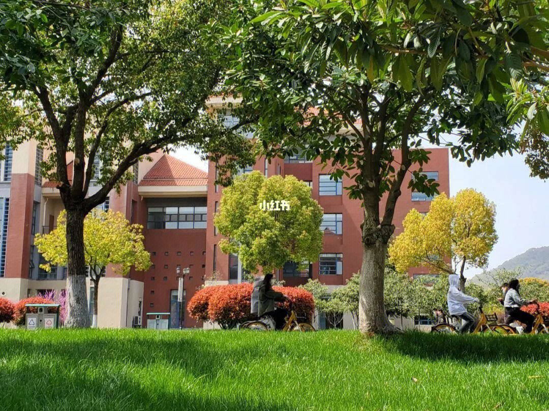 南京传媒学院大草坪图片