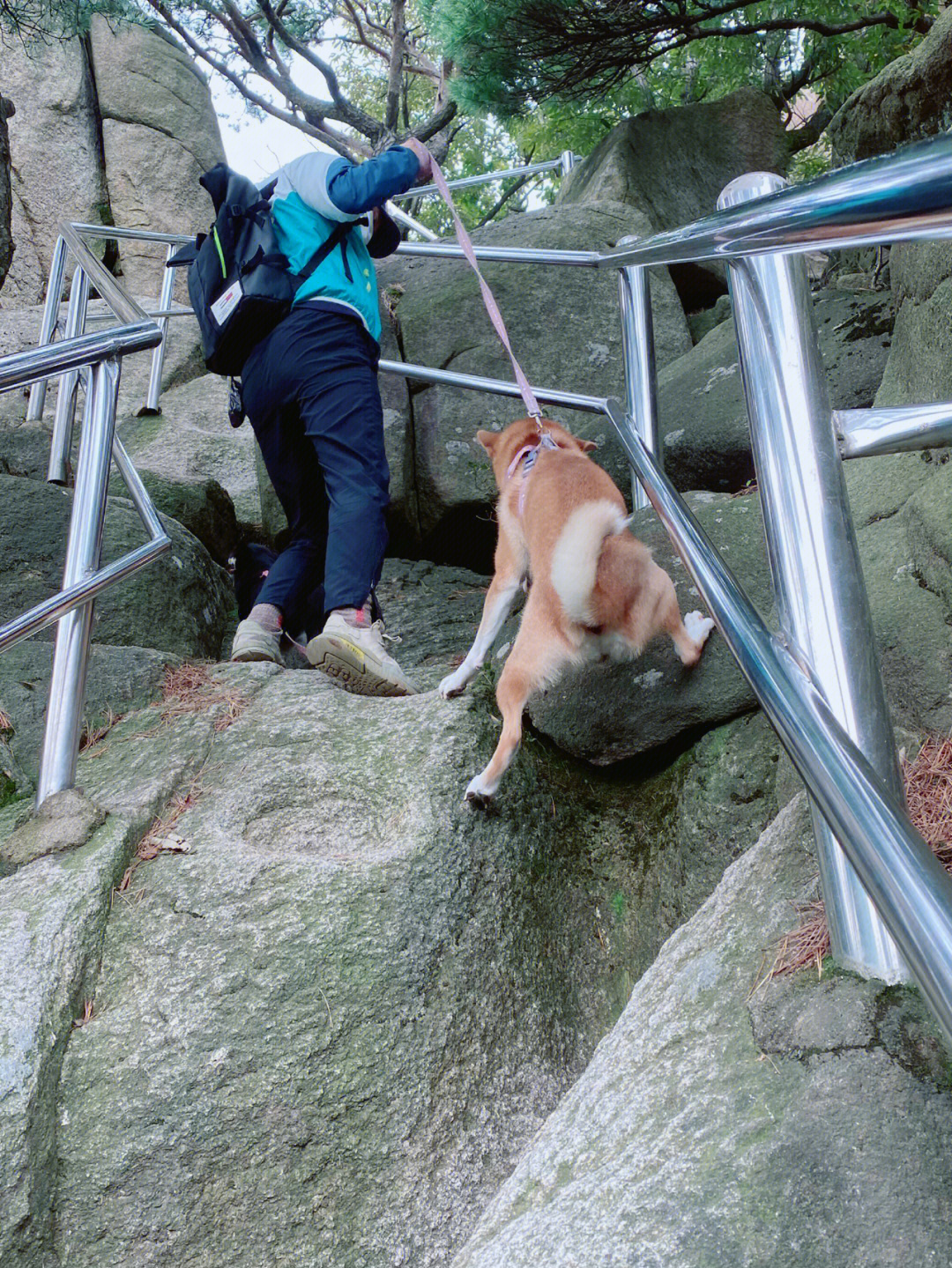 带狗子爬八峰山吓哭01差点掉下悬崖了