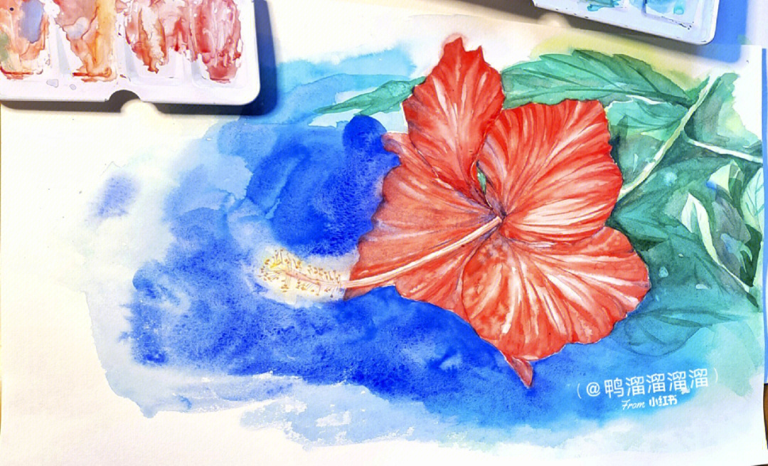 大红花的画法图片