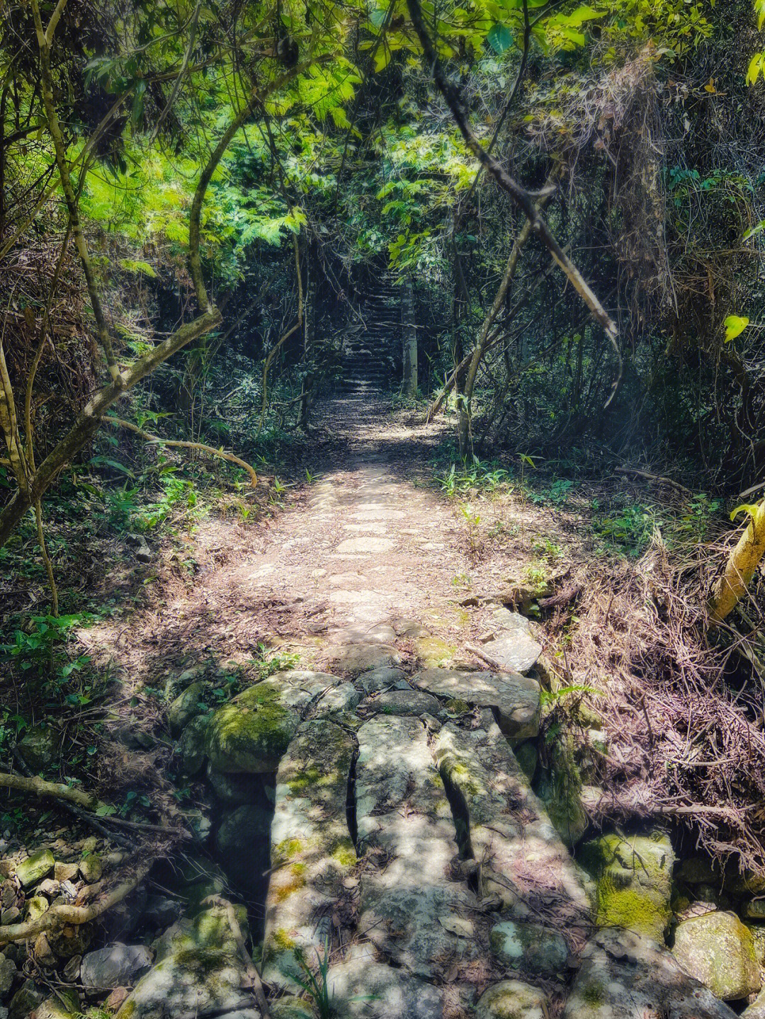 福州永泰莒溪景区图片