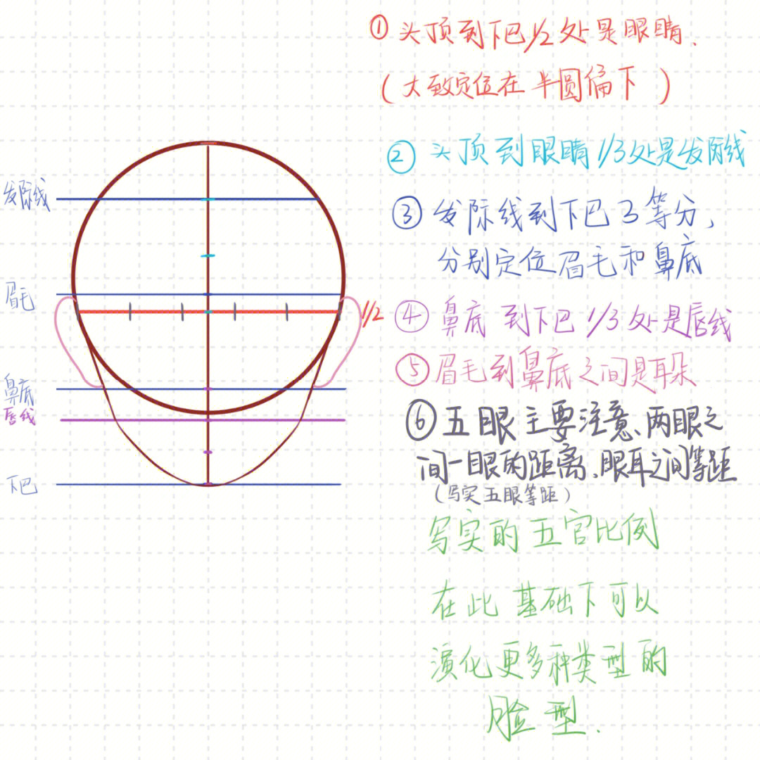 头像怎么量比例图片