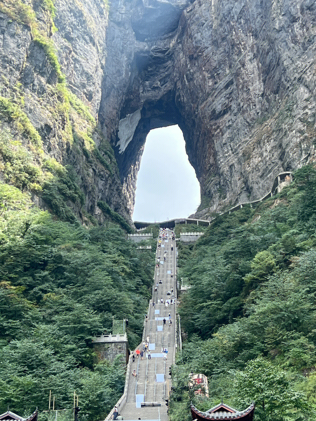 张家界山顶住宿景区图片