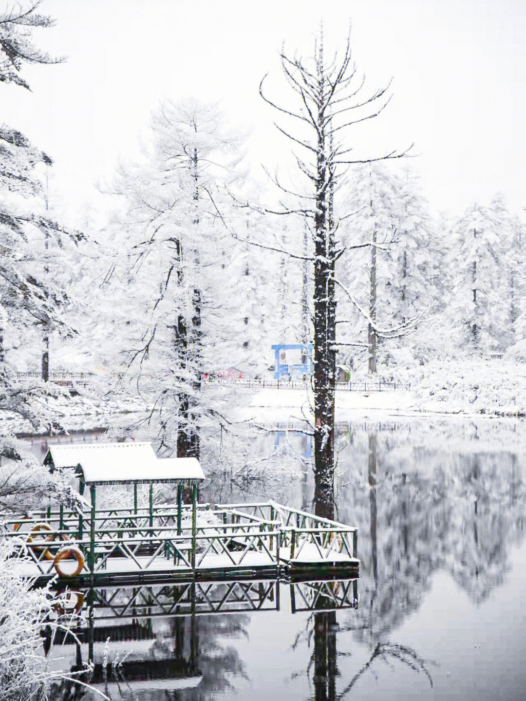 瓦屋山滑雪场位置图片