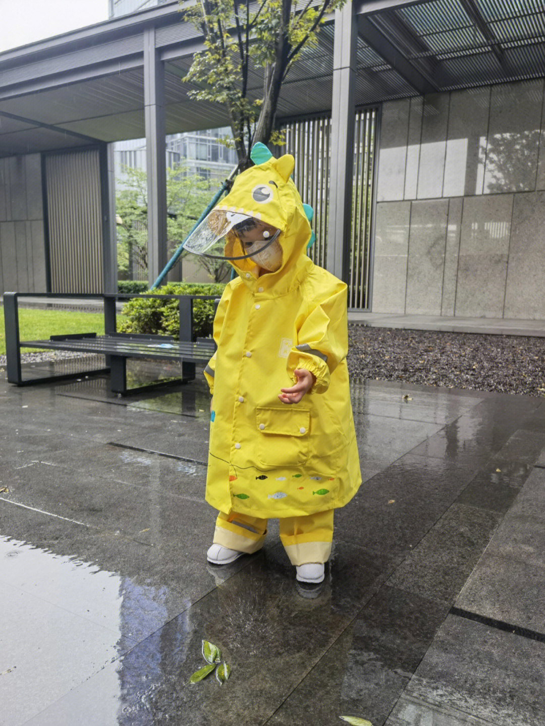 日常博士雨衣图片