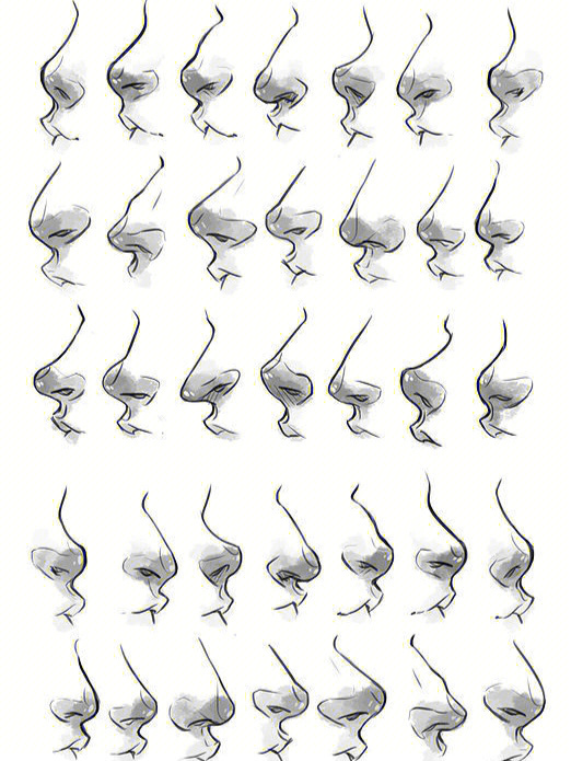 你们要的鼻子绘制参考来咯