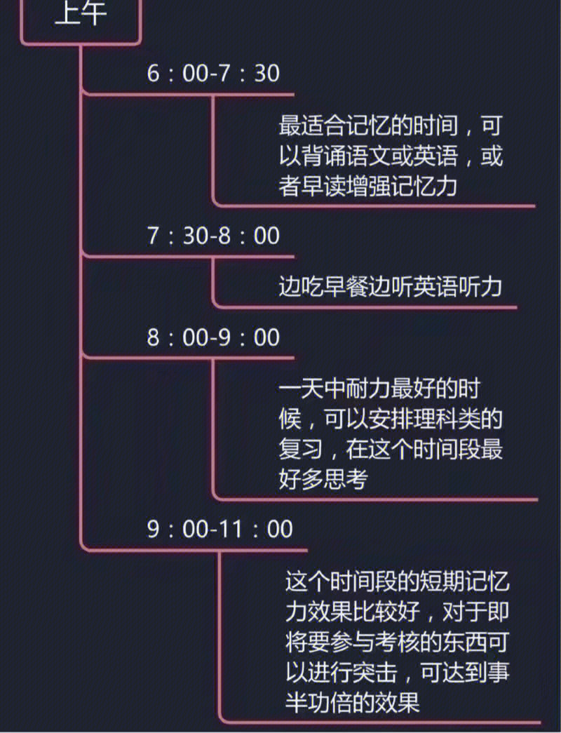 记忆周期时间表图片