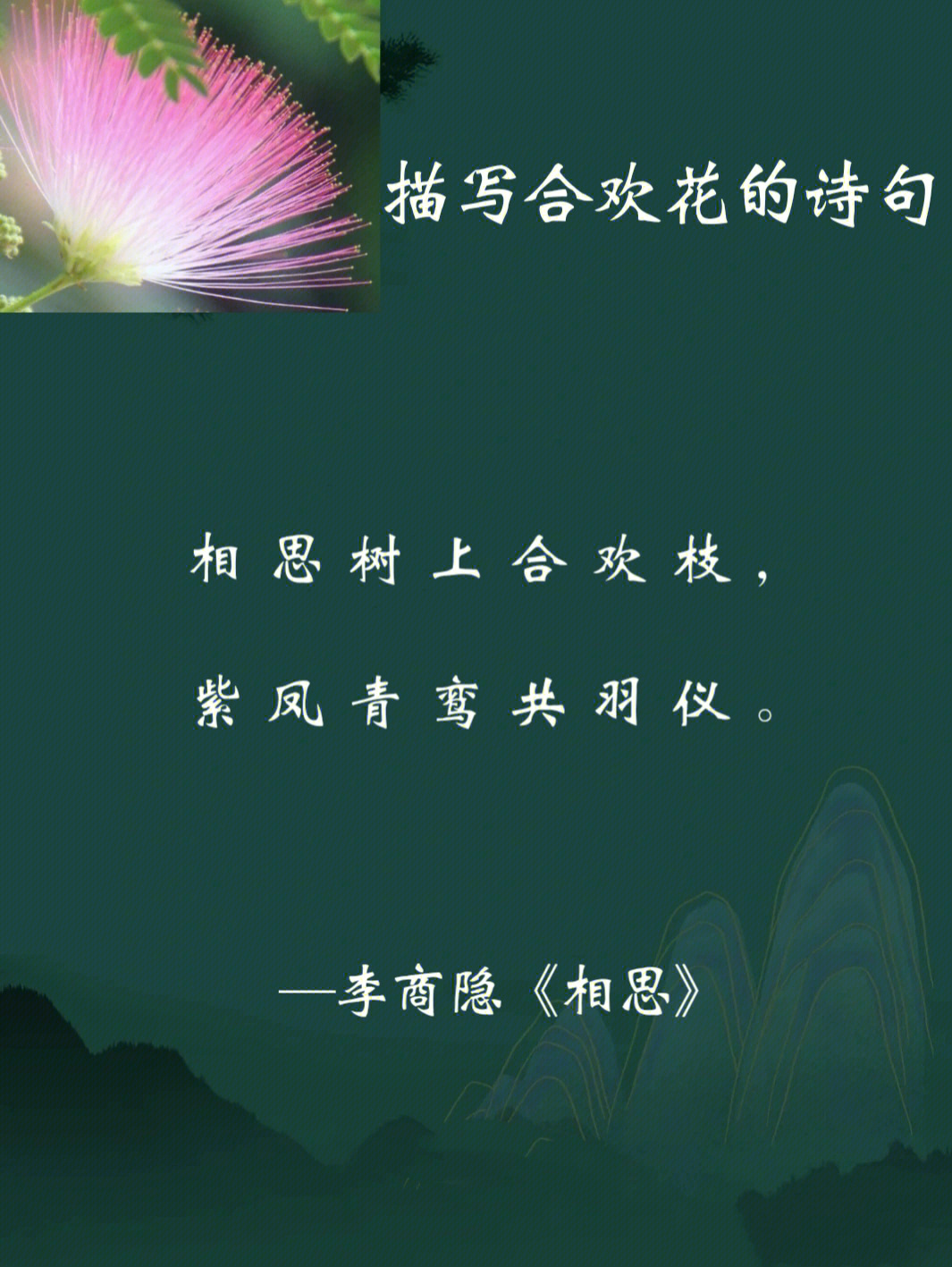 偶遇合欢花开,一树绿叶红花,翠碧摇曳,带来些许清凉意,走近她她却欣欣