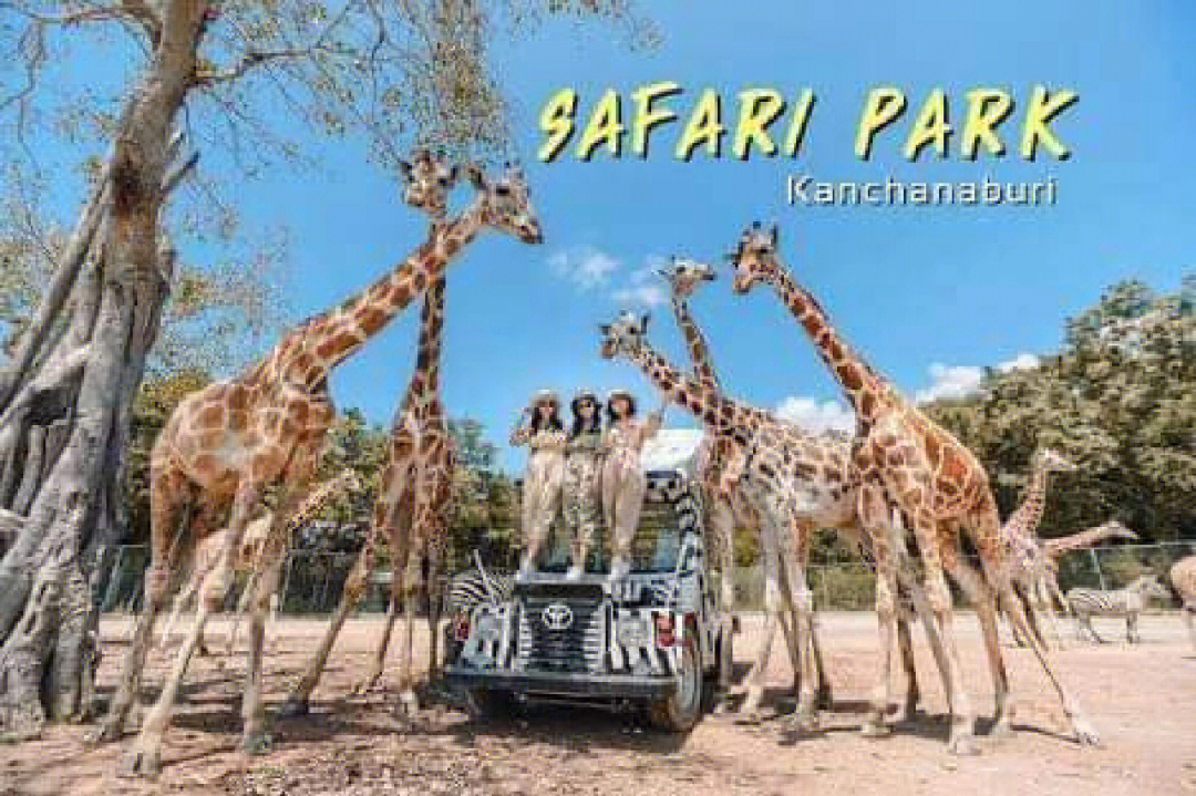 泰国新晋网红打卡safaripark