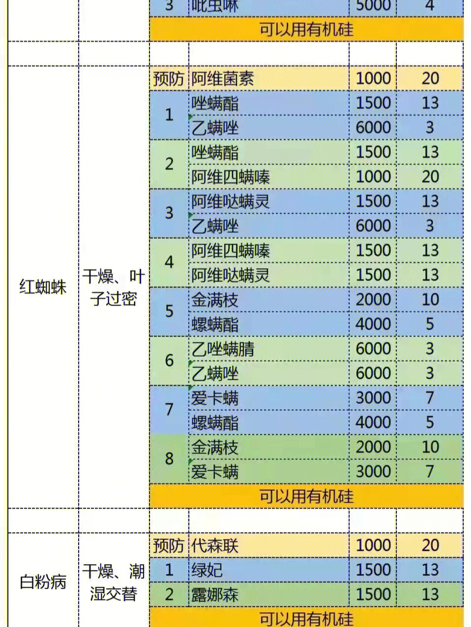 月季花常见病用药图片