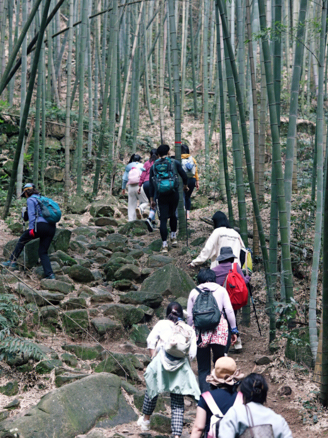 非周末我们徒步进入莫干山景区人少太爽了