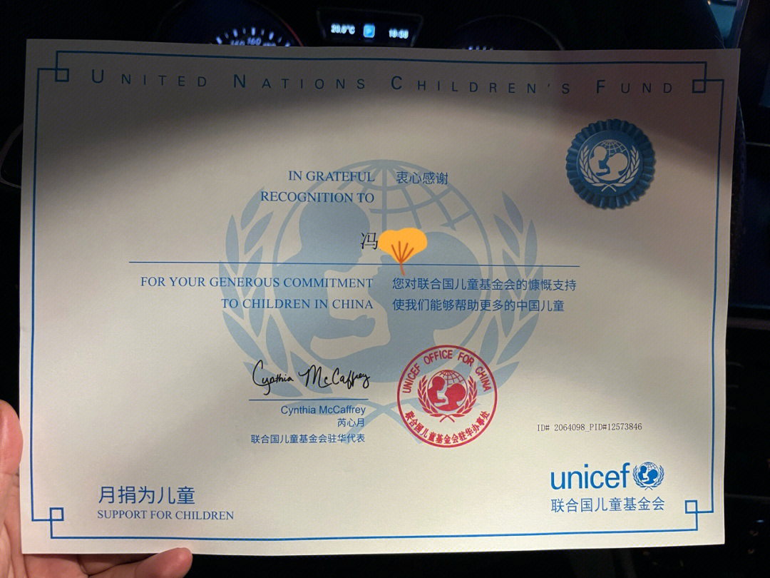联合国安保部证书图片