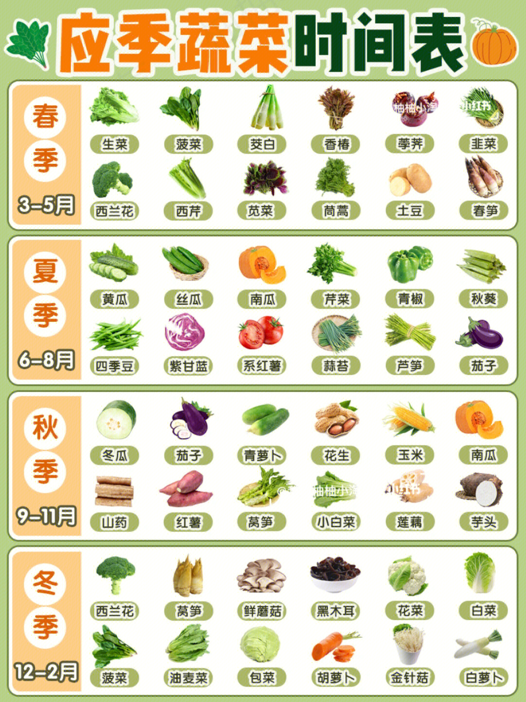 时令蔬菜一览表图表图片