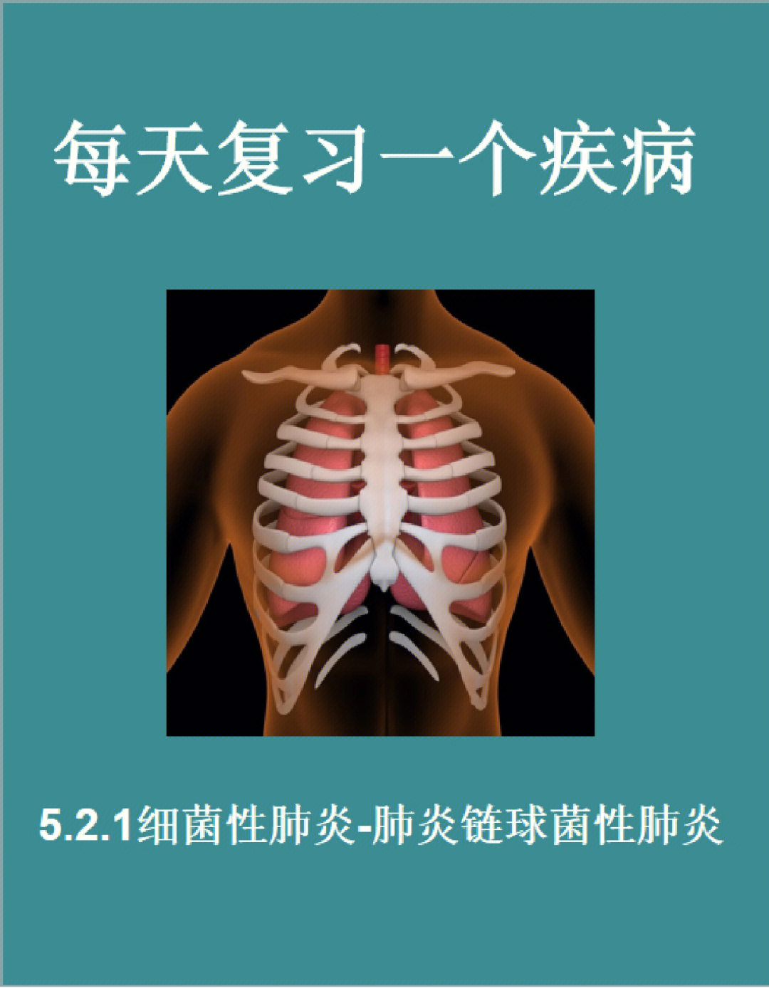 内科521细菌性肺炎肺炎链球菌性肺炎