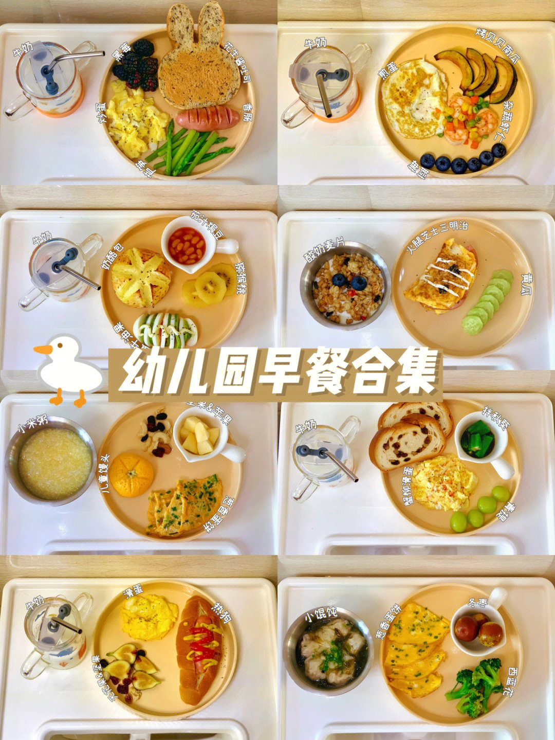 幼儿园小朋友早餐食谱图片