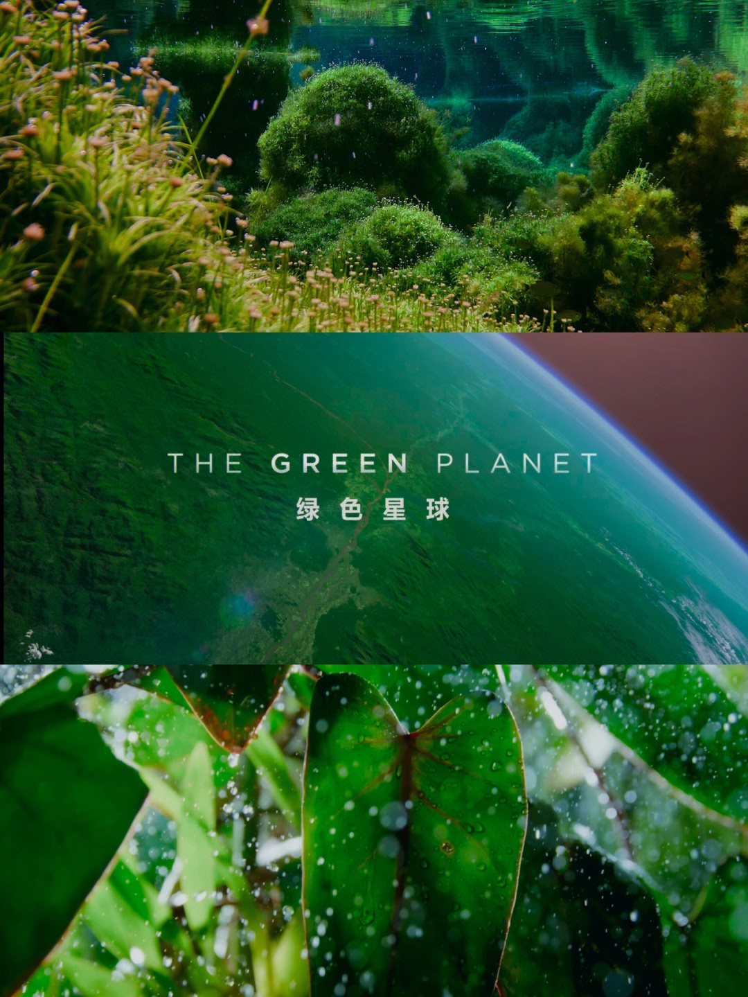 绿色星球天体图片
