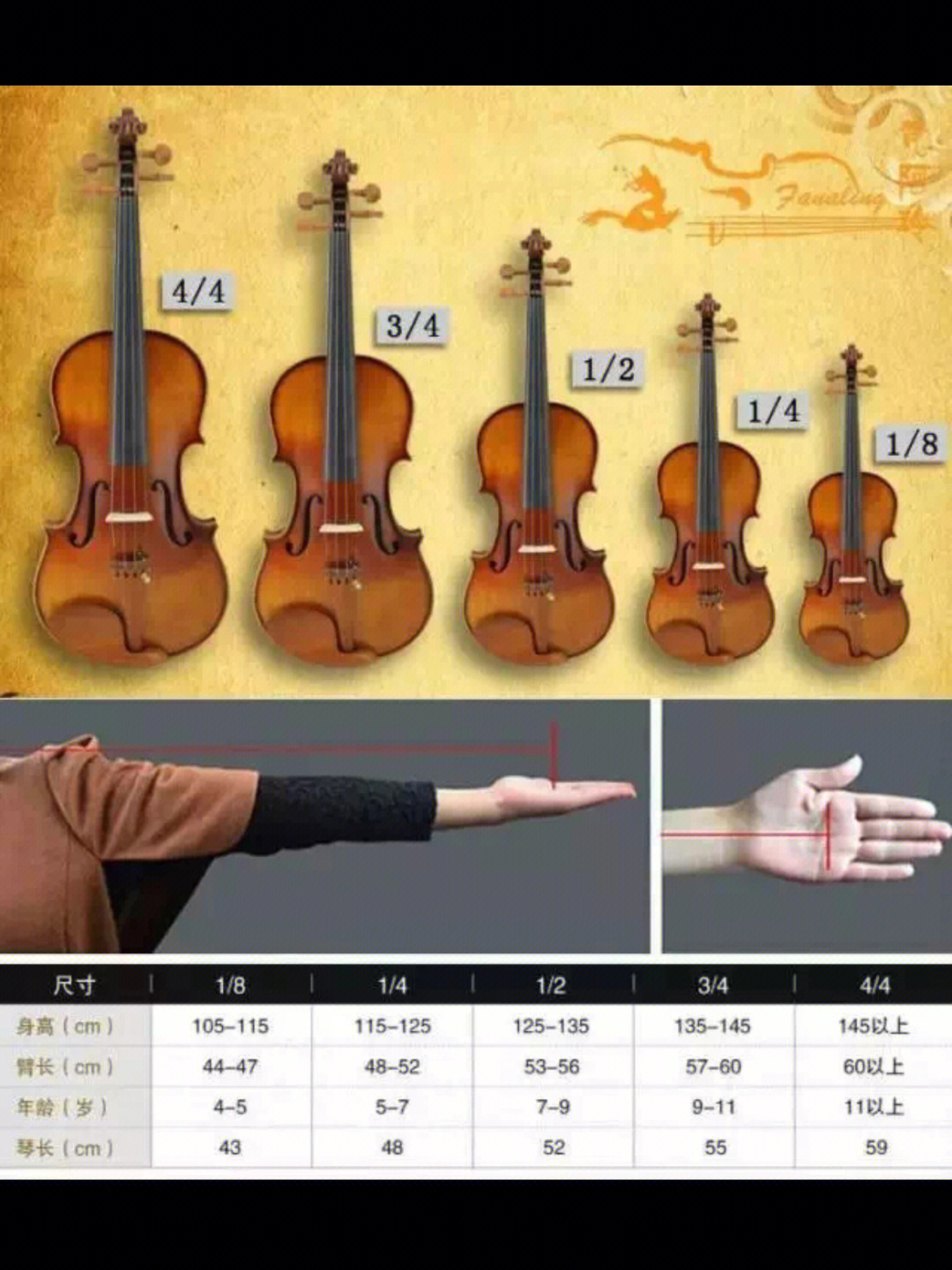 小提琴与身高对照表图片