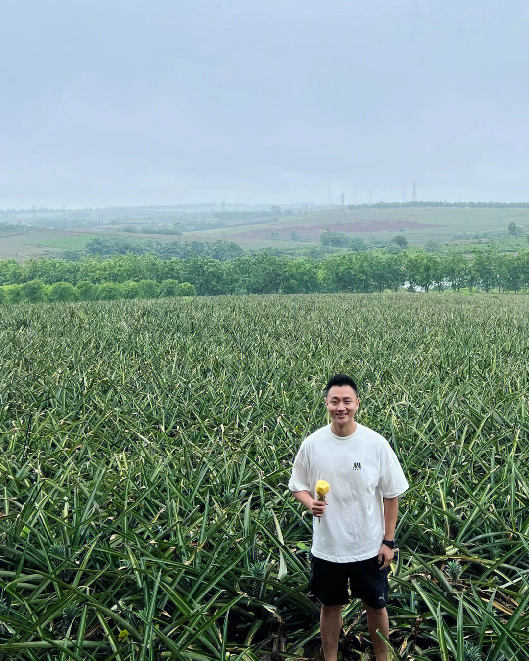 湛江徐闻雏鹰基地图片