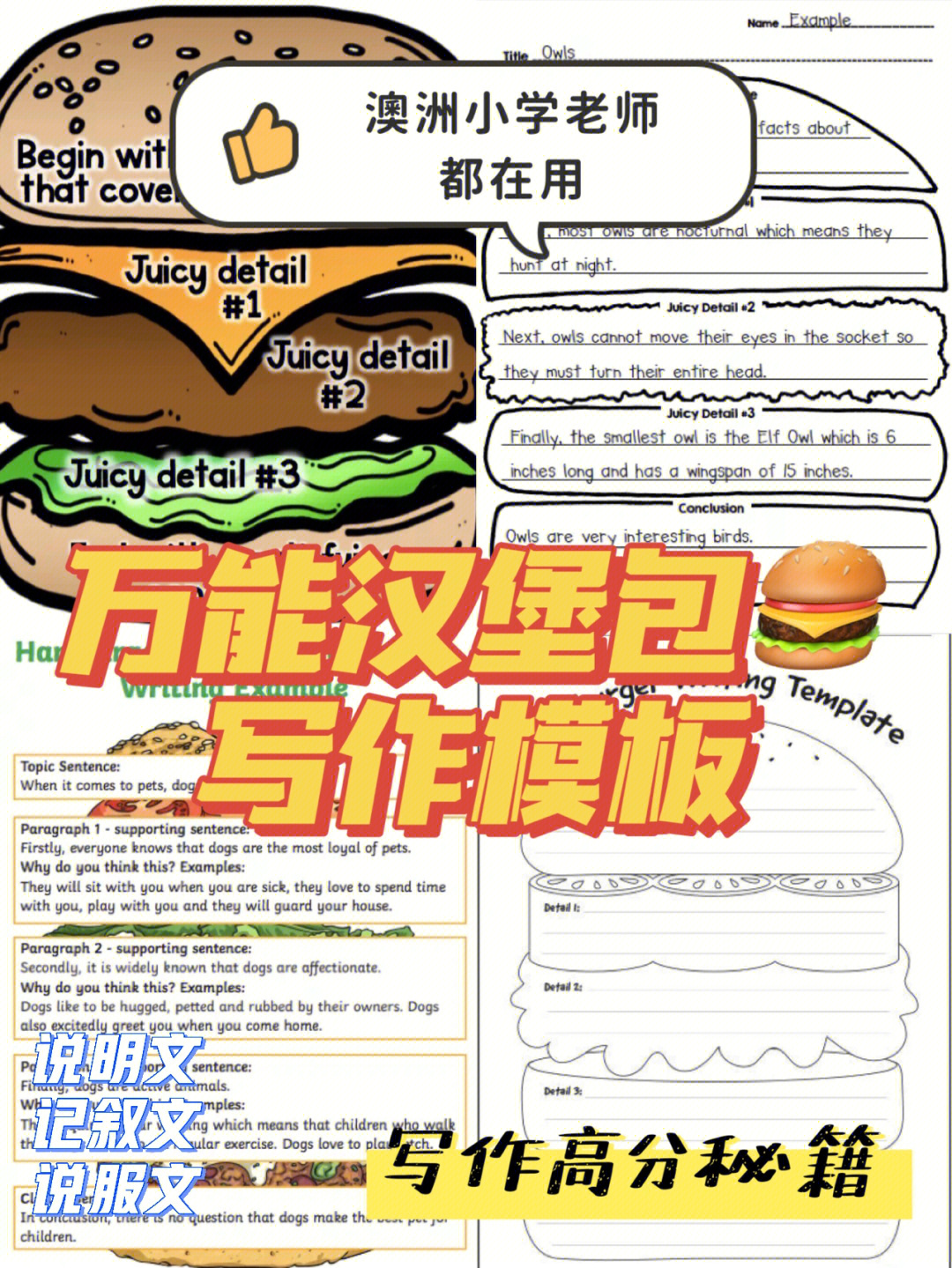 小学写作高分秘籍75万能汉堡包写作图形模板