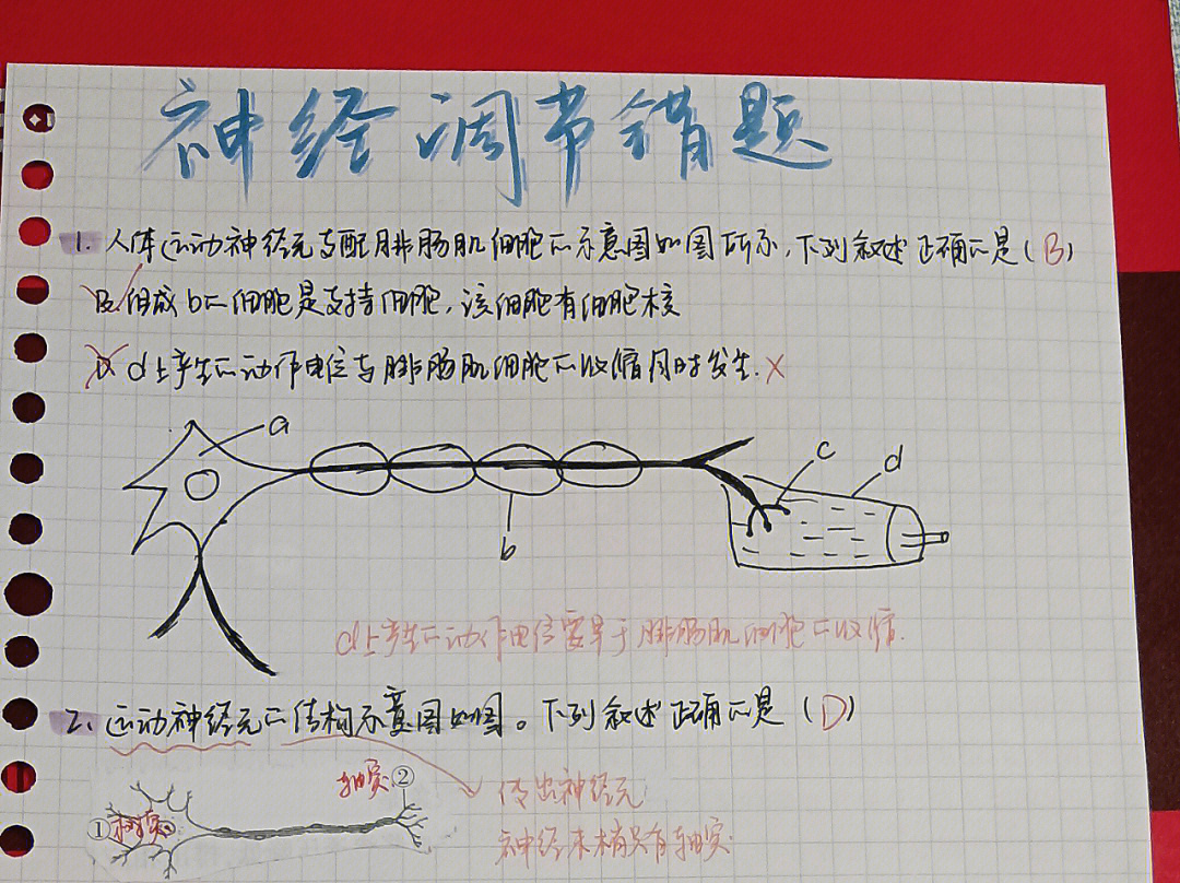 808神经测试题图片图片