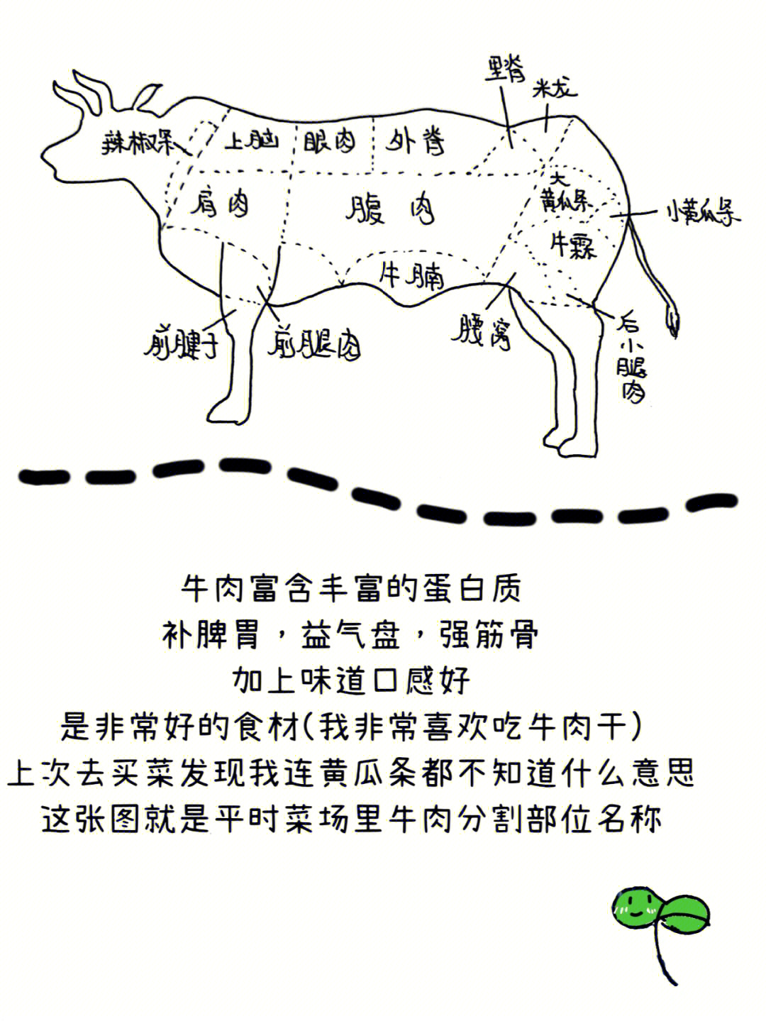 牛反刍的过程示意图图片