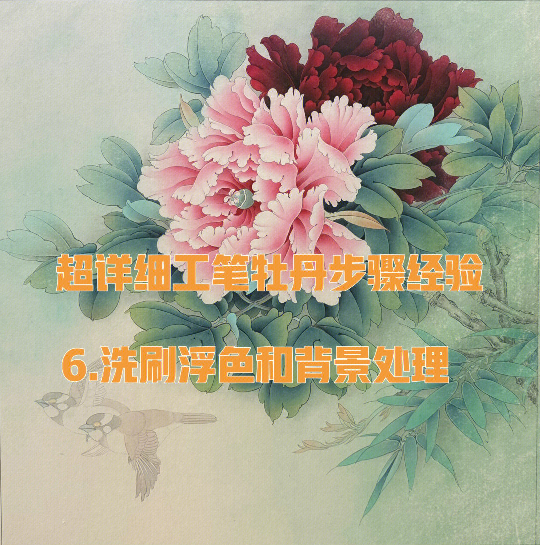 工笔画上底色的步骤图片