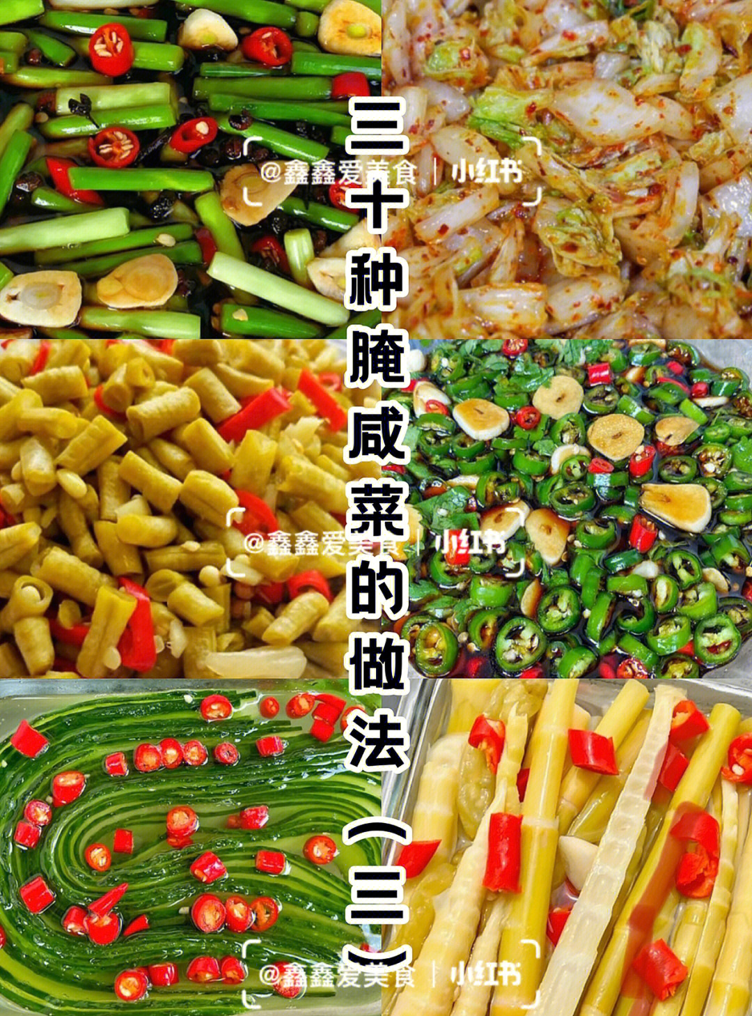 腌菜的种类及图片图片