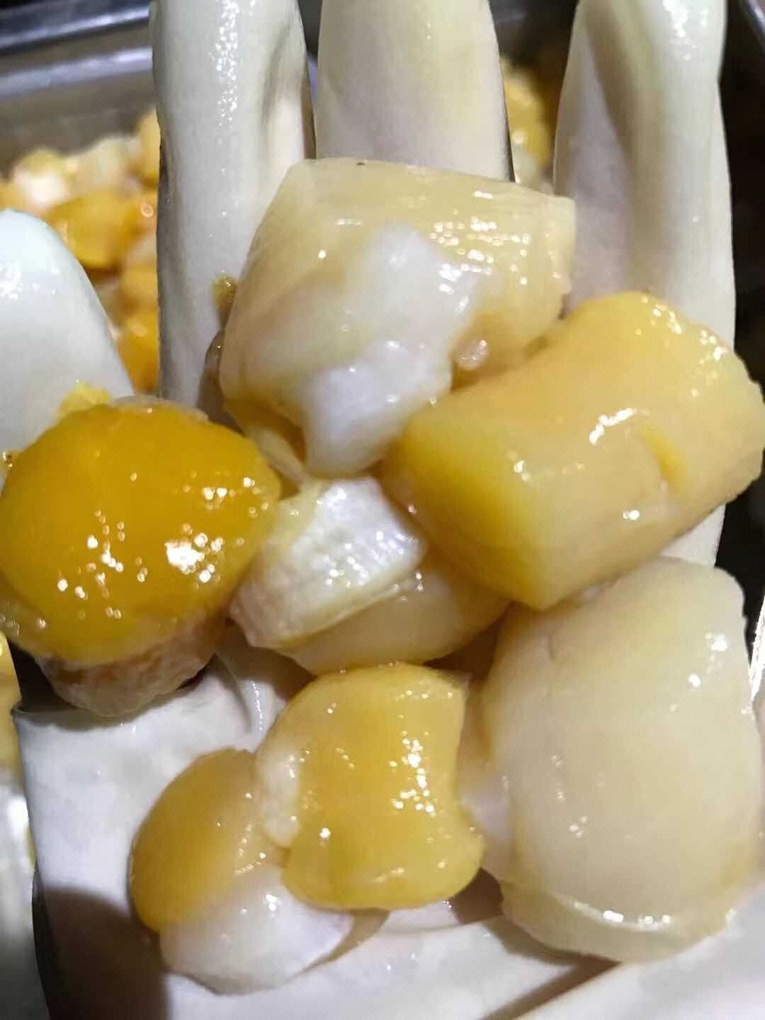 东山岛海鲜 新鲜瑶柱干贝,每粒都是活挖,特别鲜特别嫩,煮汤,炖蛋,下