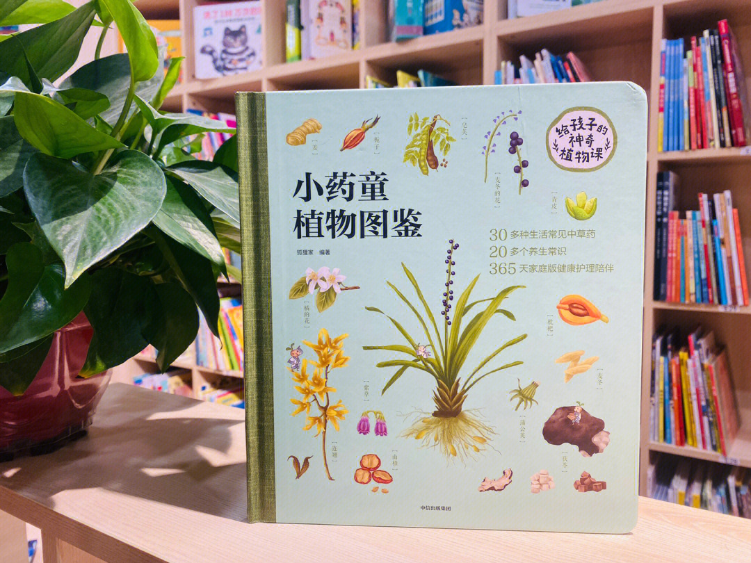 植物绘本作品图片大全图片