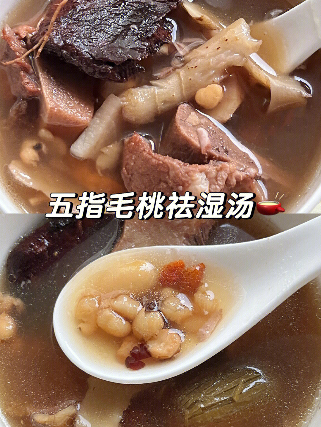广东五指毛桃煲汤法图片