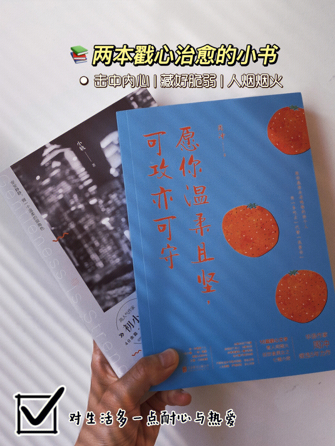 1156698书名《愿你温柔且坚,可攻亦可守》7315作者:周冲