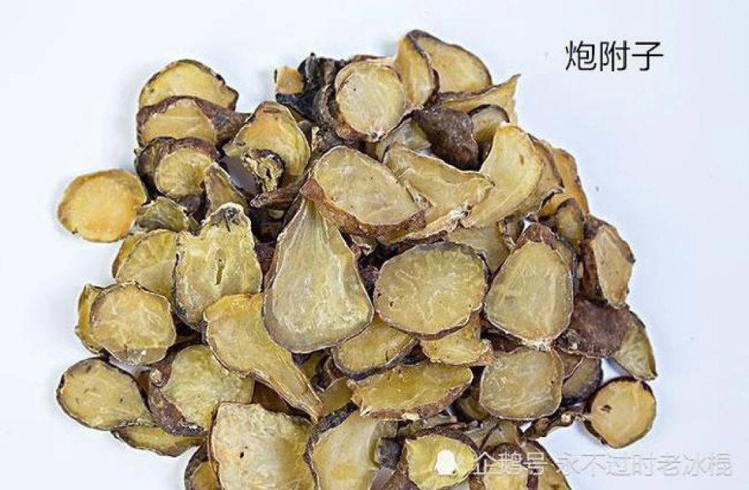 [彩虹r]组成:厚朴 白术 木瓜 木香 草果仁 大腹子 炮附子 白茯苓 炮