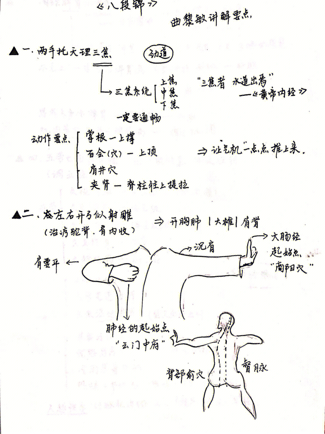 八段锦的经络走向图图片