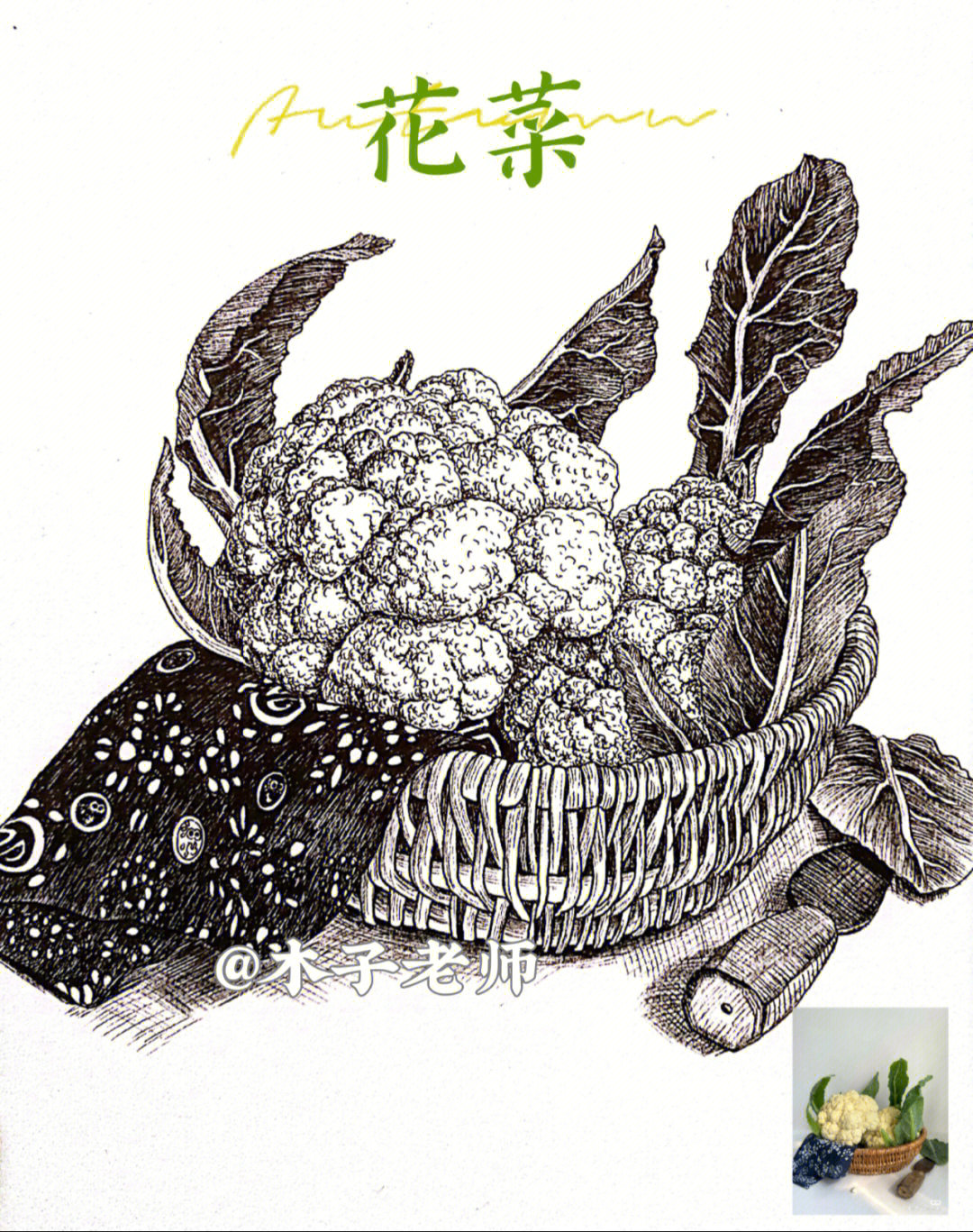 线描写生蔬菜系列之花菜