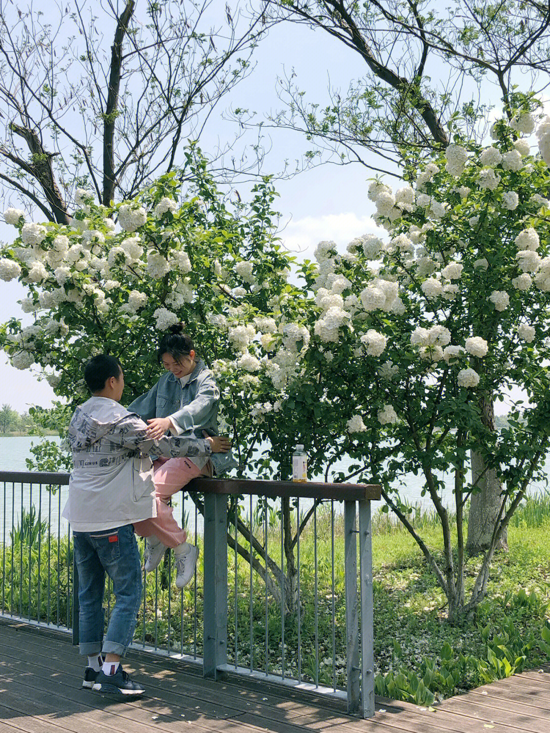 海宁鹃湖公园游记图片