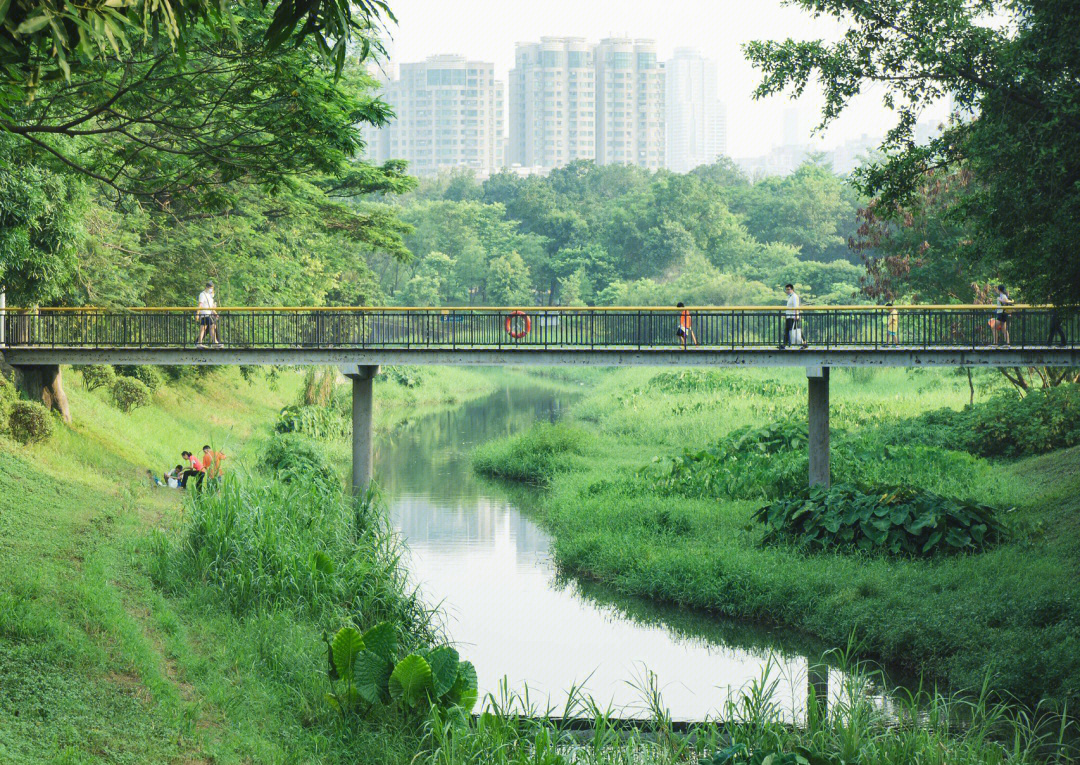 深圳中心公园