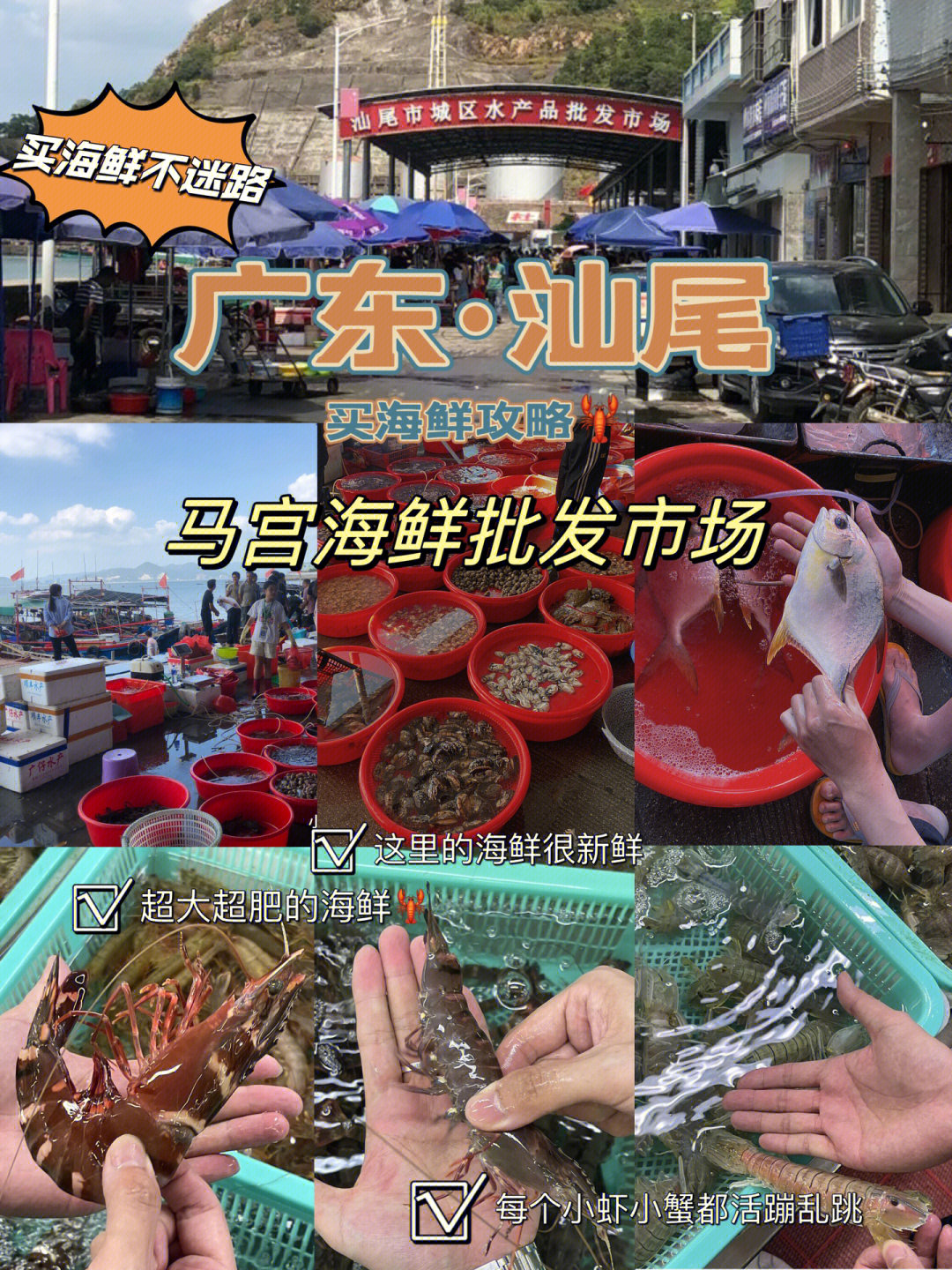 汕尾马宫码头海鲜市场图片