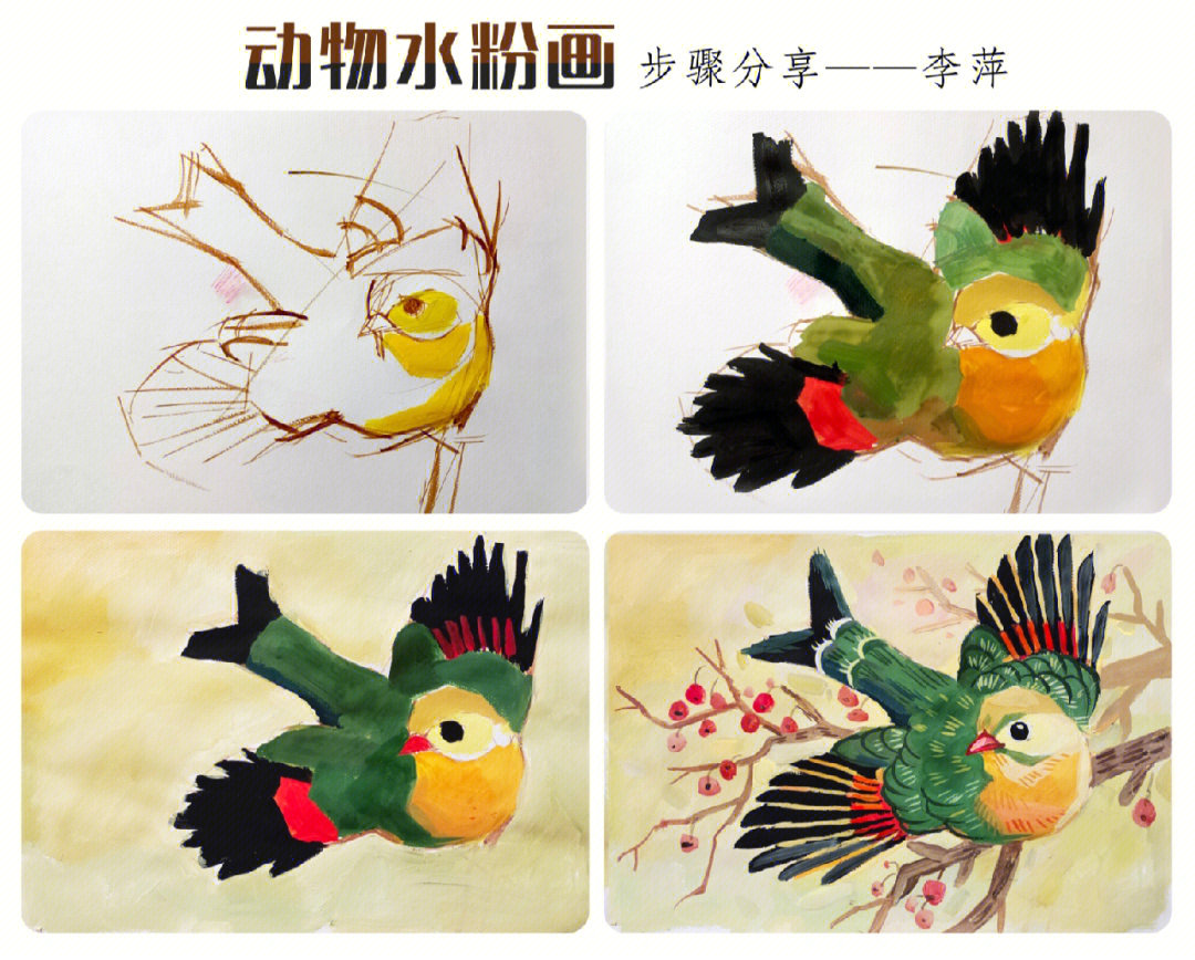动物水粉画教程1560相思鸟