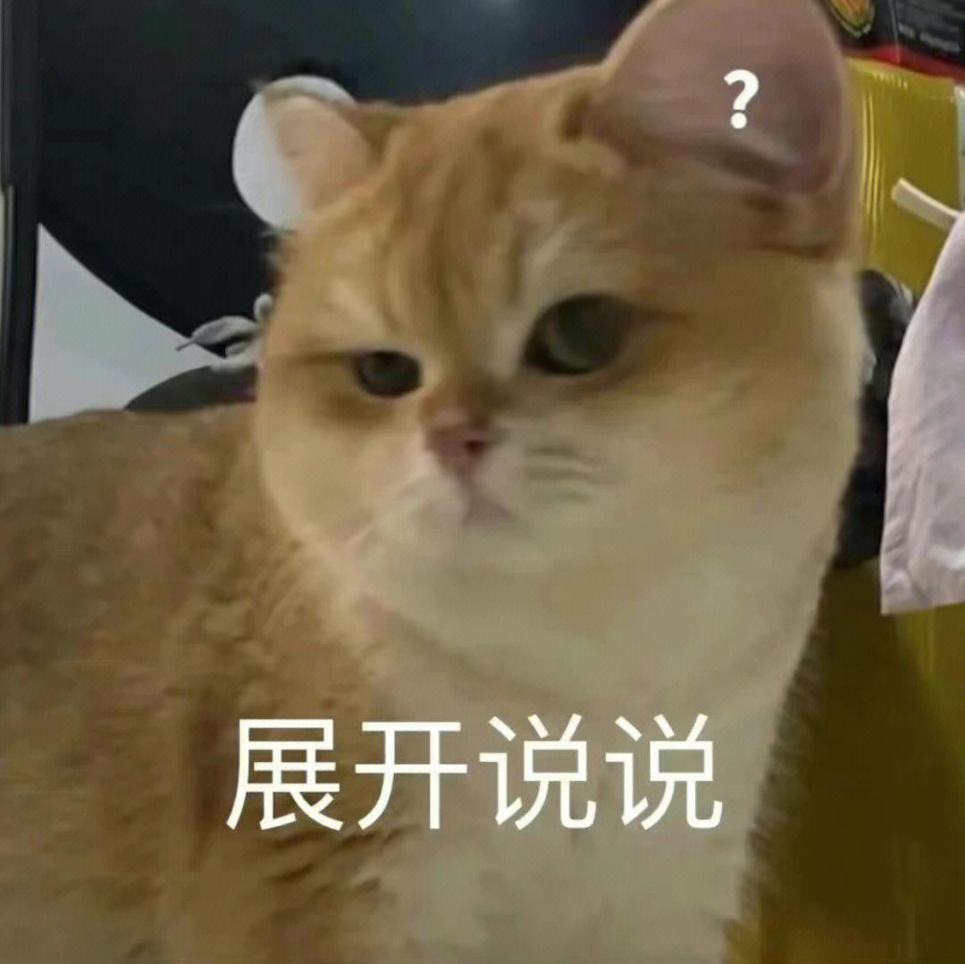 比较实用猫猫狗狗表情包