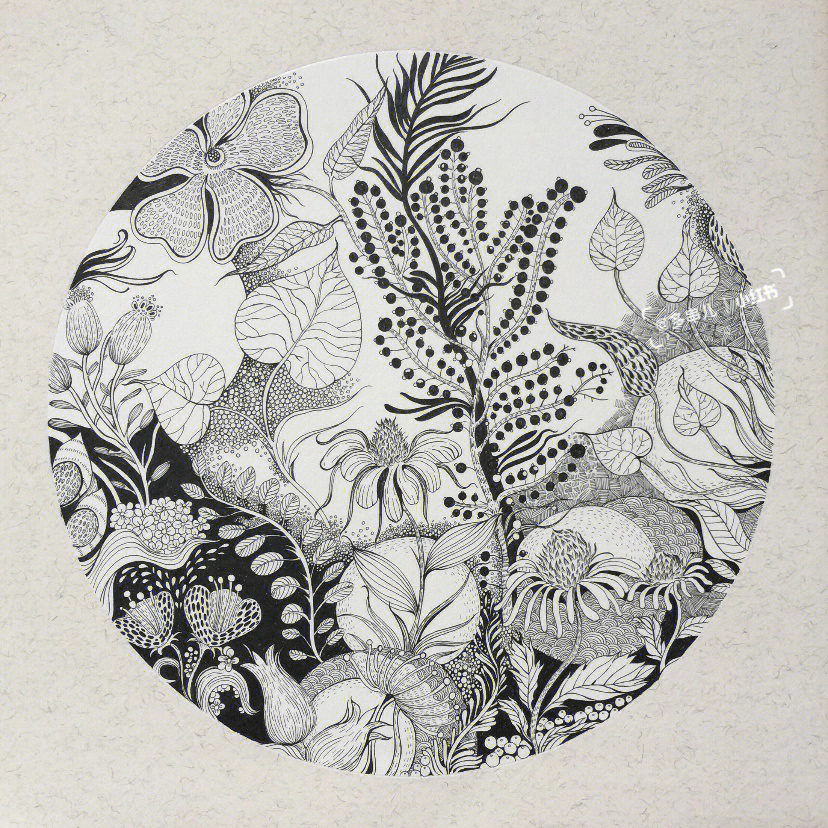 黑白画简单植物图片